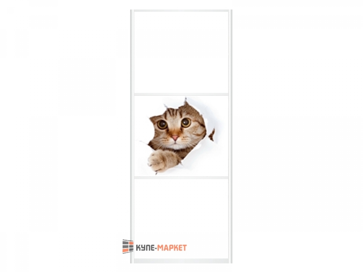 Двери для шкафа купе арт. DKM 2082 с фотопечатью - купемаркет.рф